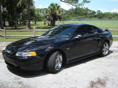 Ford Mustang GT Pictures
