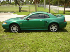 1999 Ford Mustang GT Pictures