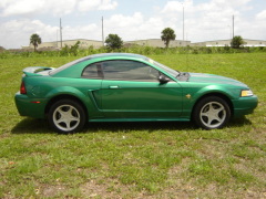 1999 Ford Mustang Picture Page