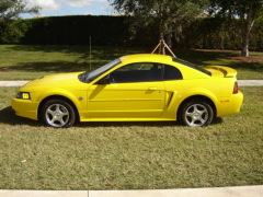 Ford Mustang Pictures