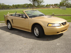 Ford Mustang Convertible Pictures