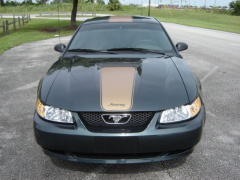 Ford Mustang Pictures