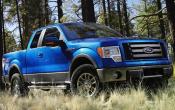 F-150 FX4 (2009)