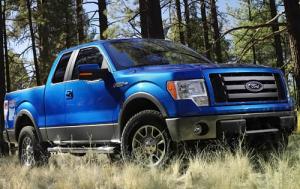 Used Ford F150 FX4 (2009)
